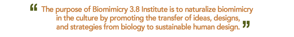 Biomimicry 3.8 Institute Mission Statement