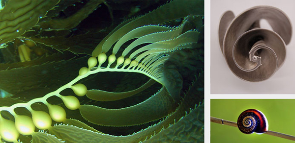 energy_efficiency_large