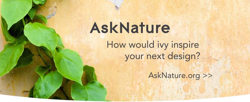 asknature