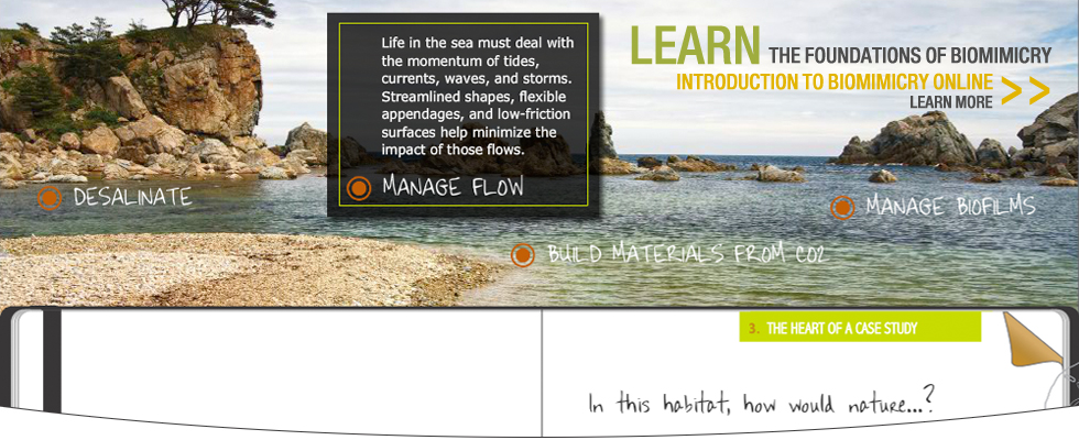 foundational_course_slide_V2_stroke
