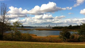 SaltMarsh-Frankic-web