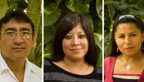 Yucatan-Fellows