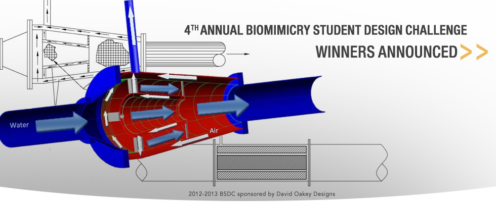 Biomimicry Student Design Challenge winning design