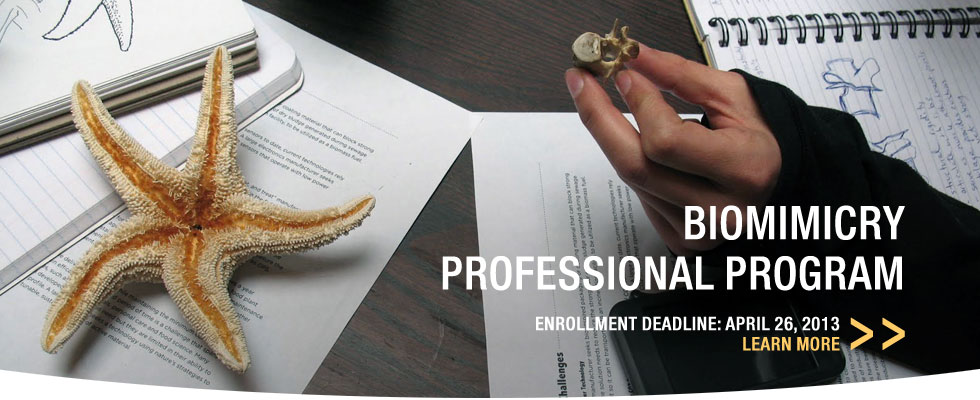 BPro April Deadline