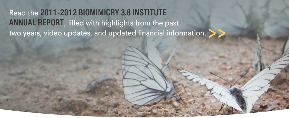 AnnualReport_slide_11-12