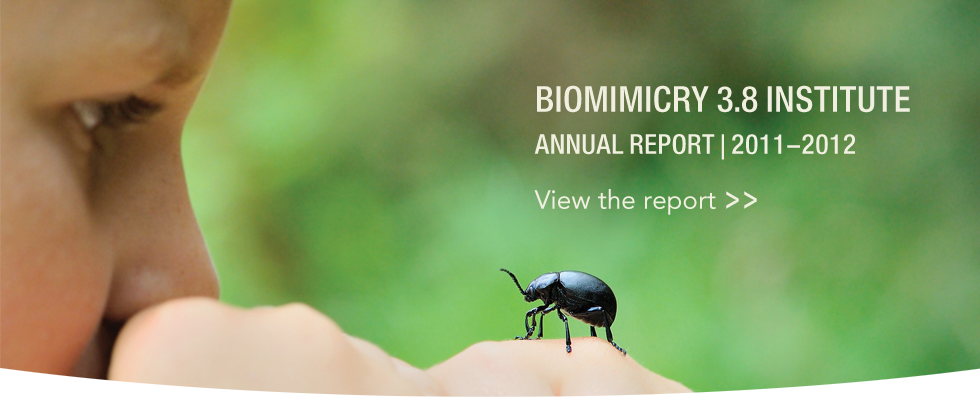 Annual_Report_Homepage_Banner