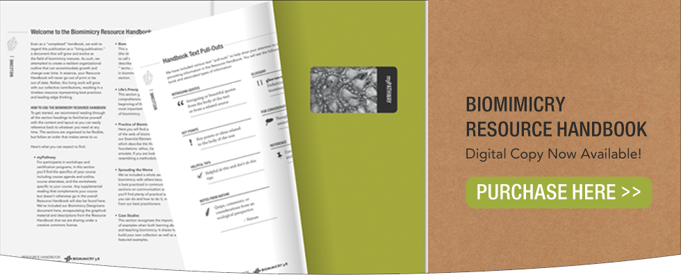 B38_home_Resource_Handbook_Digital